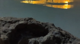 Tematización de espacios II